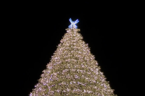 LCQE Documental ES.00_08_11_04.Still012